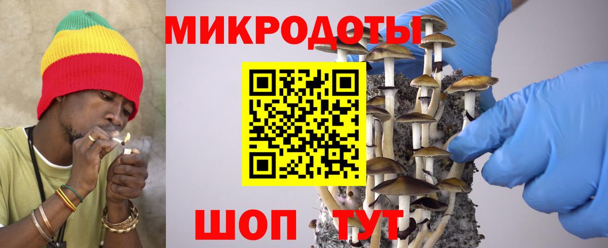 Галлюциногенные грибы Psilocybine cubensis Орск