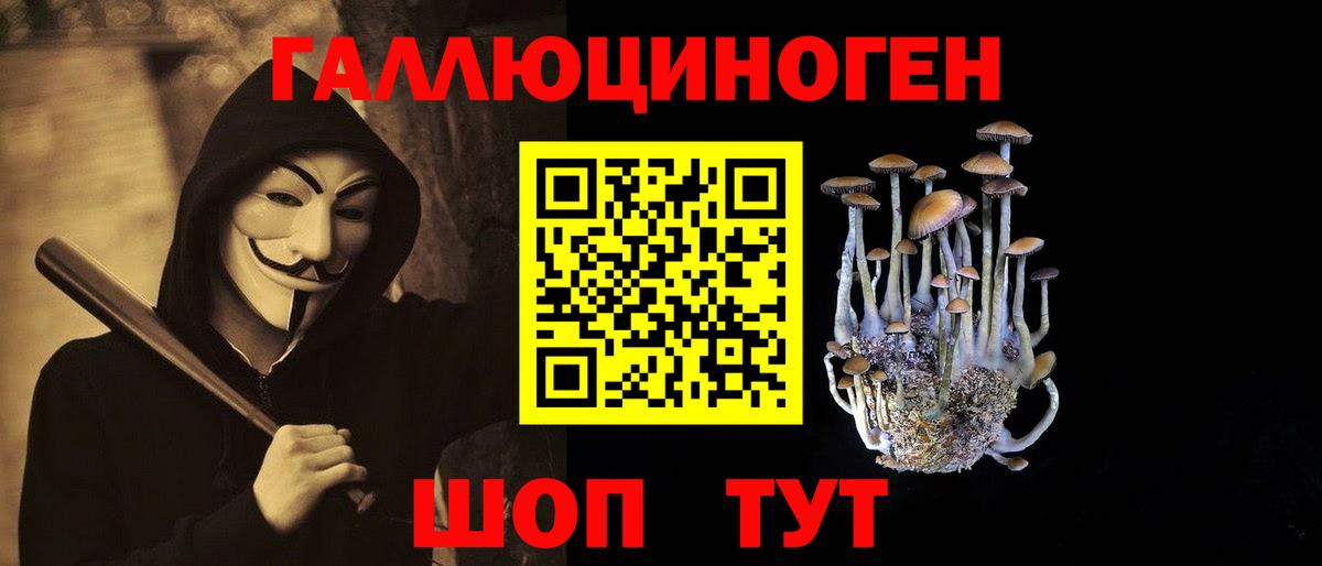 Псилоцибиновые грибы Magic Shrooms  даркнет сайт  Вход с VPN  Орск  Псилоцибиновые грибы Cubensis 